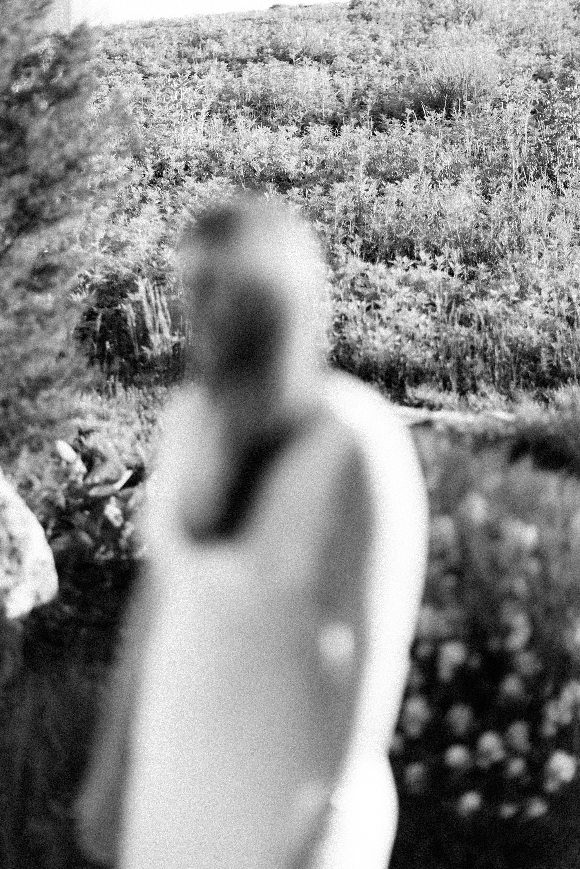 Bride Portrait